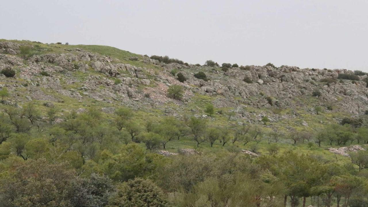El Rincon De San Jose Lägenhet Marjaliza Exteriör bild