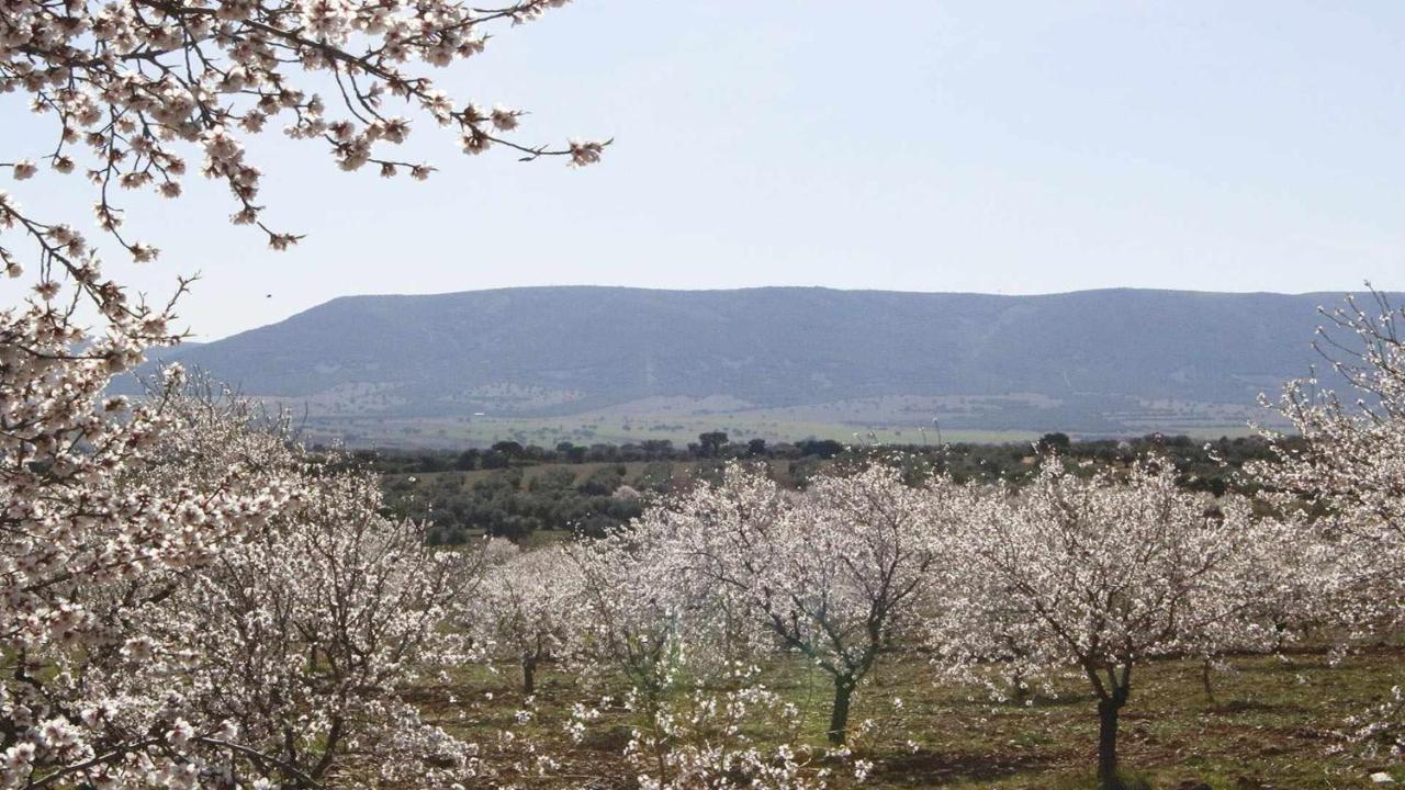 El Rincon De San Jose Lägenhet Marjaliza Exteriör bild